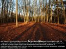 Leeuwerikhoeve