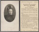 Barbe Sophie x Pletinckx 1926