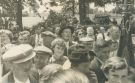 1954