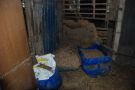 gebouw 4 2012  Postels Huufke stal midden 05.10.2012