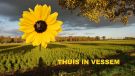  THUIS IN VESSEM