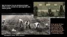  1900 kunstmest