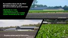  grote aantallen dieren in 1 stal