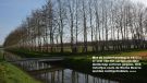  Met ruilverkaveling werd beek rechtgetrokken