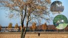  wandelen in je eentje of met vrienden