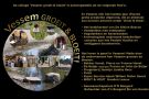 Vessem Groeit en Bloeit 2 collage